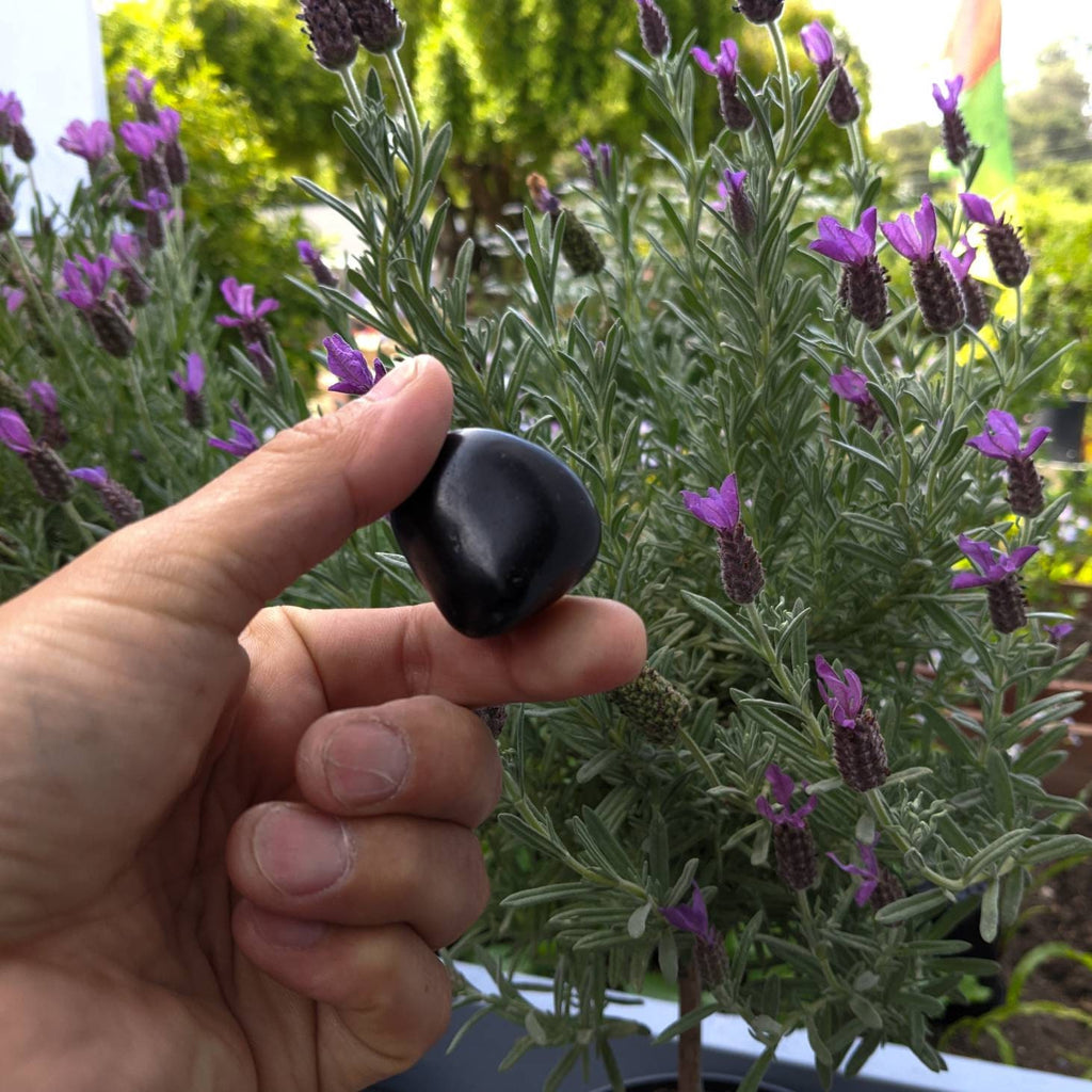 Shungite Tumbled Stone, Large Karelia Shungite