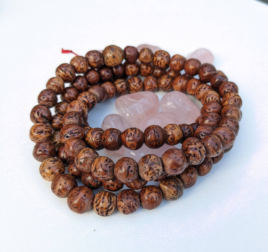 Bodhi Seed Mala Necklace: 108 Beads, Phoenix Eye, 20 Inch
