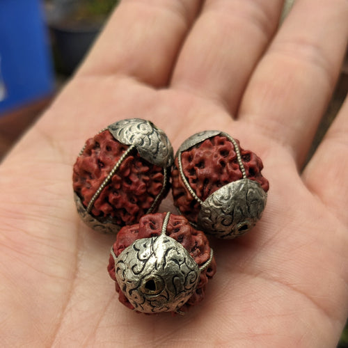 3 Handcrafted 5 Mukhi Rudraksha Beads with Silver Inlay (20mm)