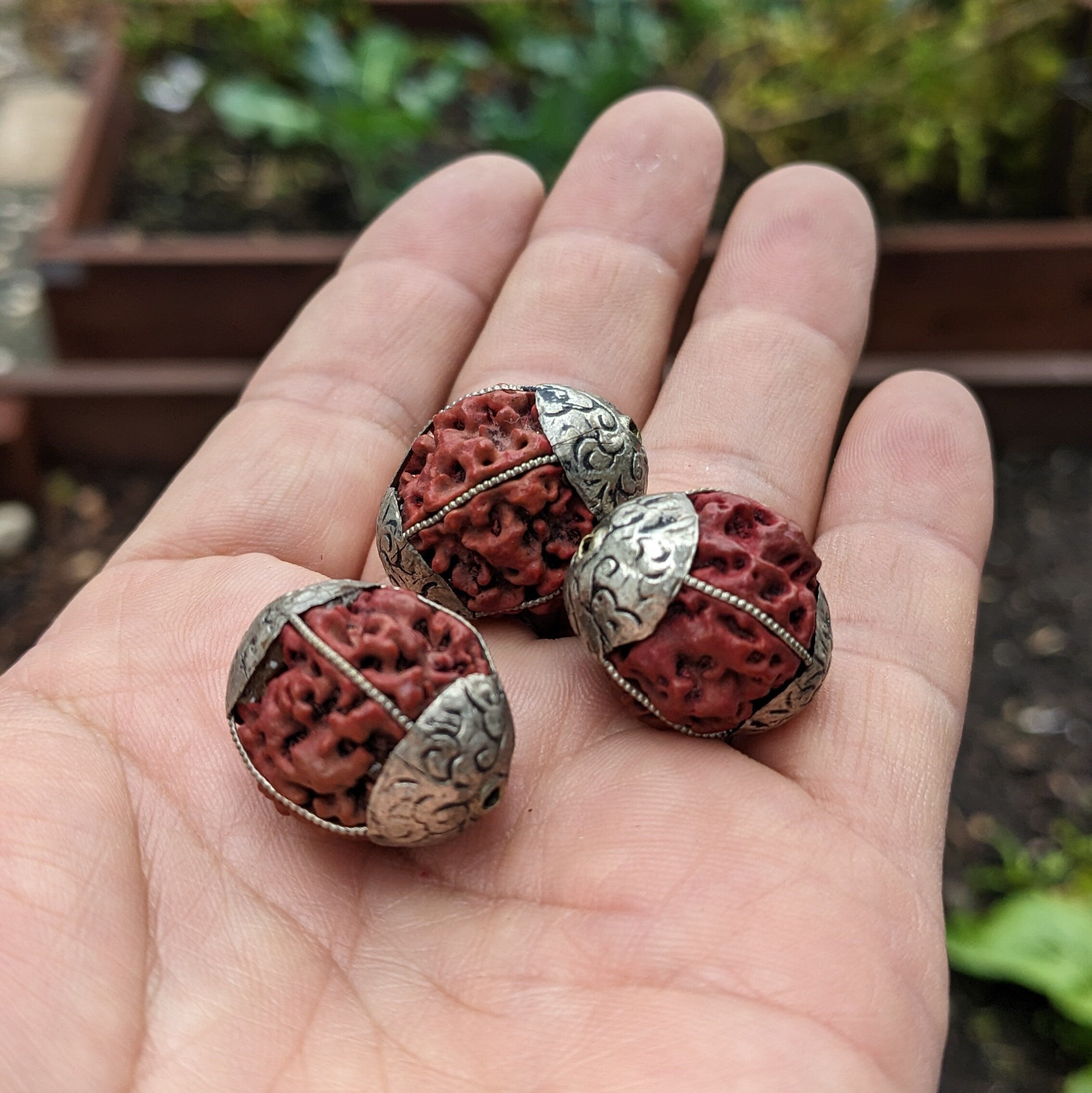 3 Handcrafted 5 Mukhi Rudraksha Beads with Silver Inlay (20mm)