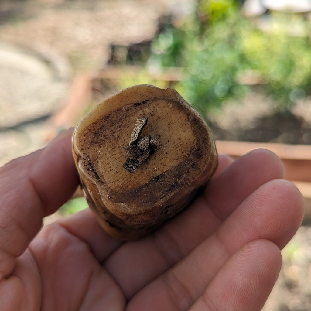 Hand Carved Yak Bone Skull: Tibetan Meditation Bead
