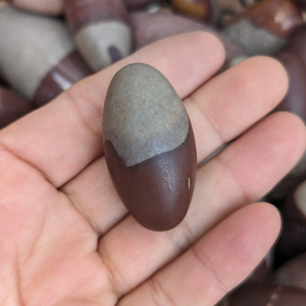 True Shiva Lingam Stone: Sacred Narmada River Rock