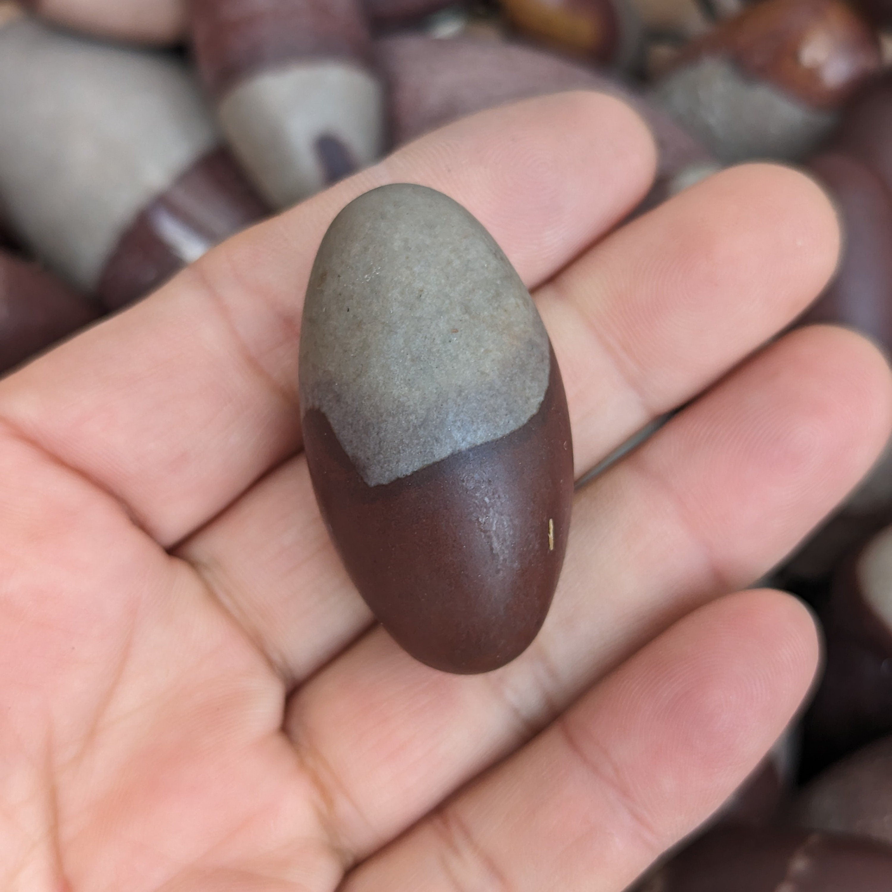 True Shiva Lingam Stone: Sacred Narmada River Rock