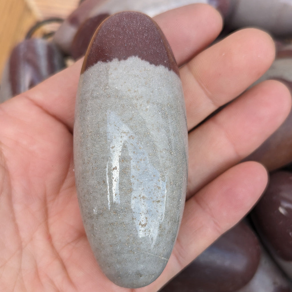 True Shiva Lingam Stone: Sacred Narmada River Rock