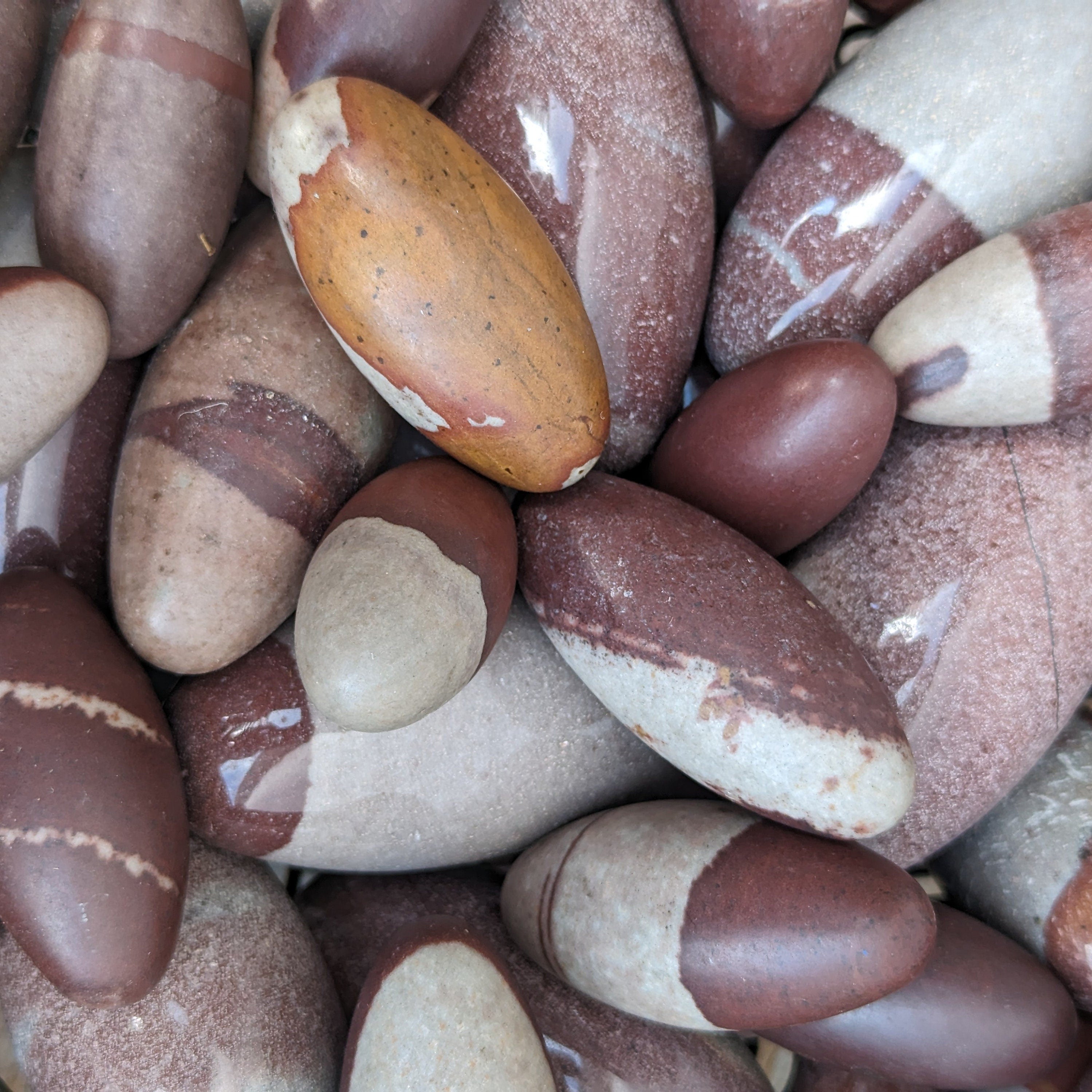 True Shiva Lingam Stone: Sacred Narmada River Rock