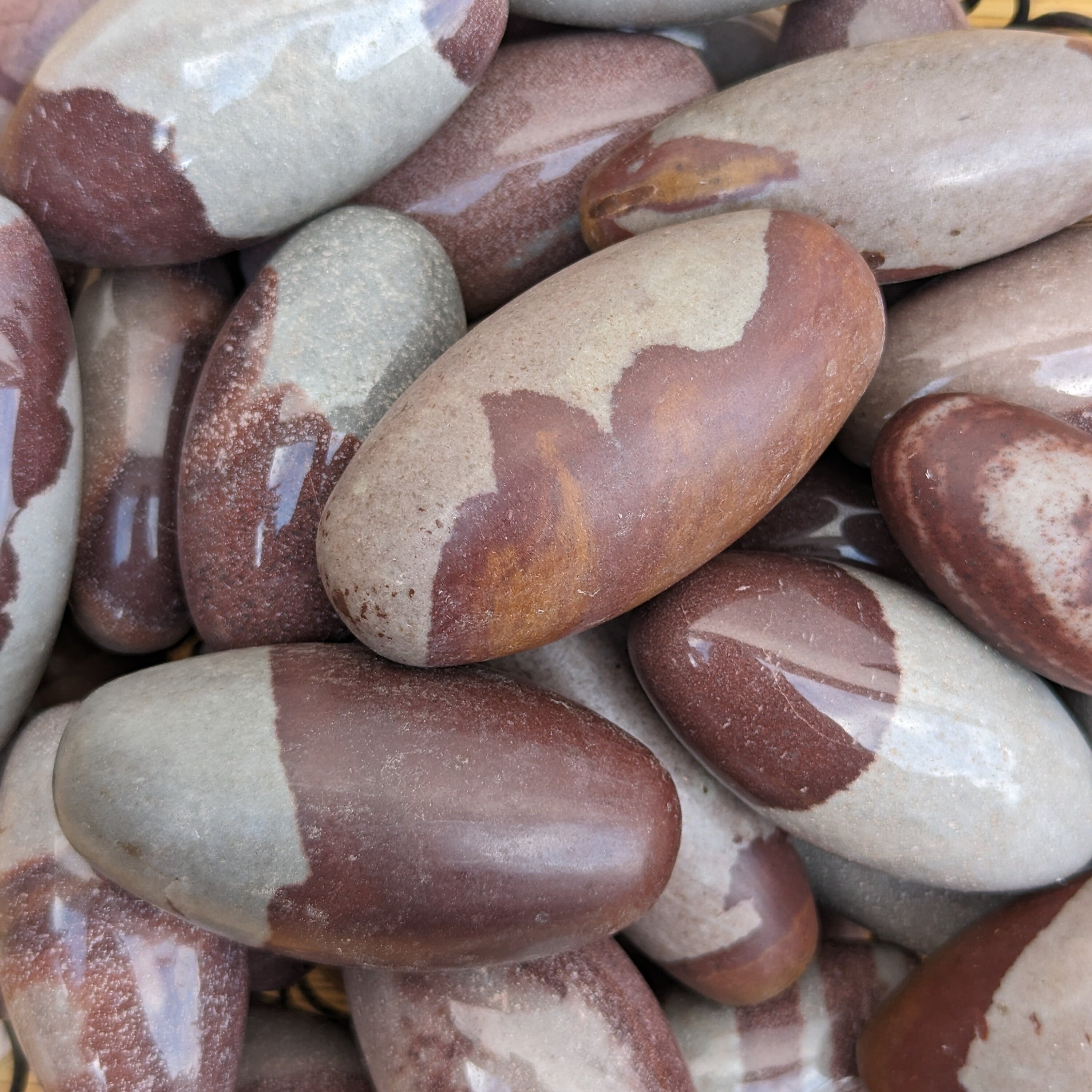 True Shiva Lingam Stone: Sacred Narmada River Rock