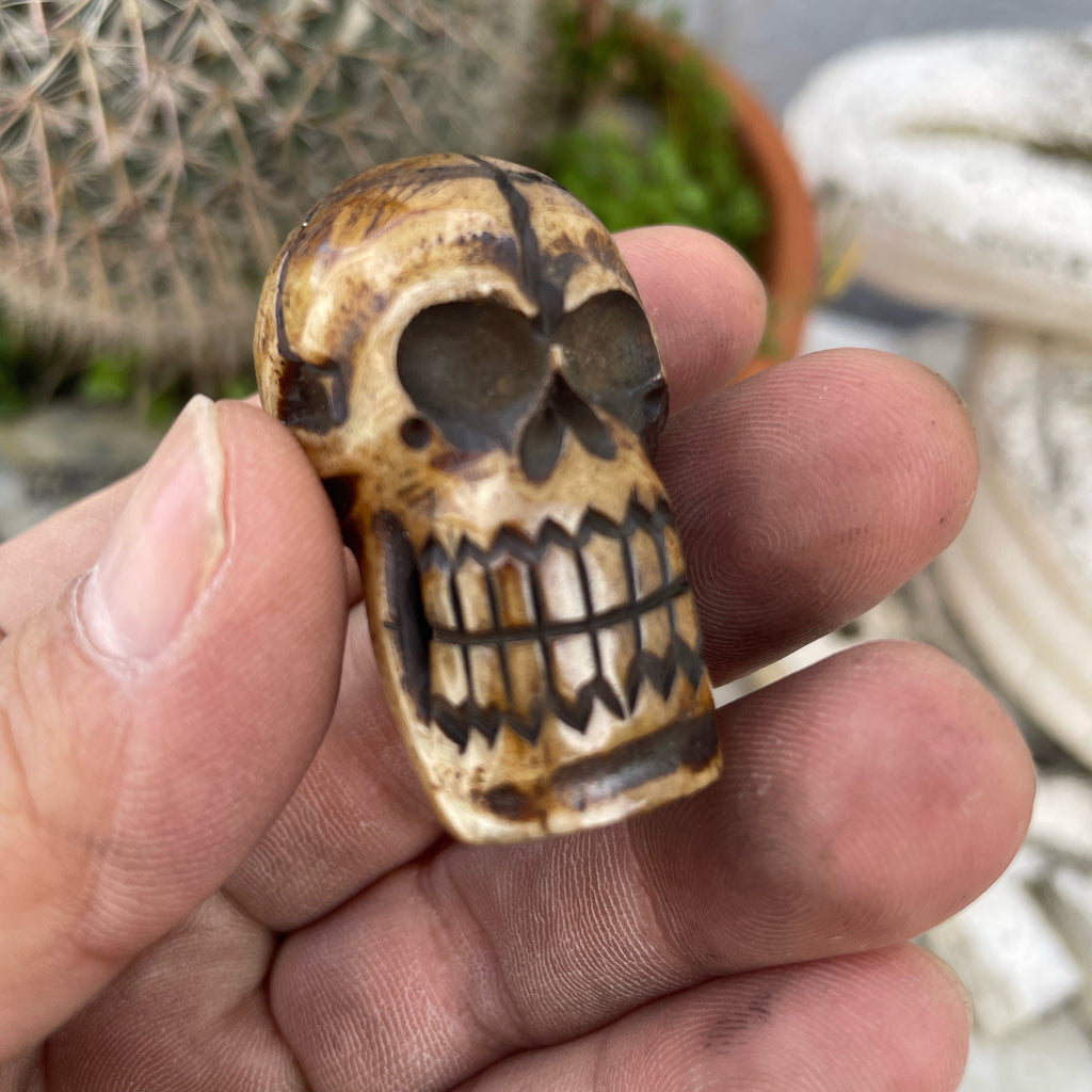 Tibetan rare vintage Yak bone Hand carved skull beads