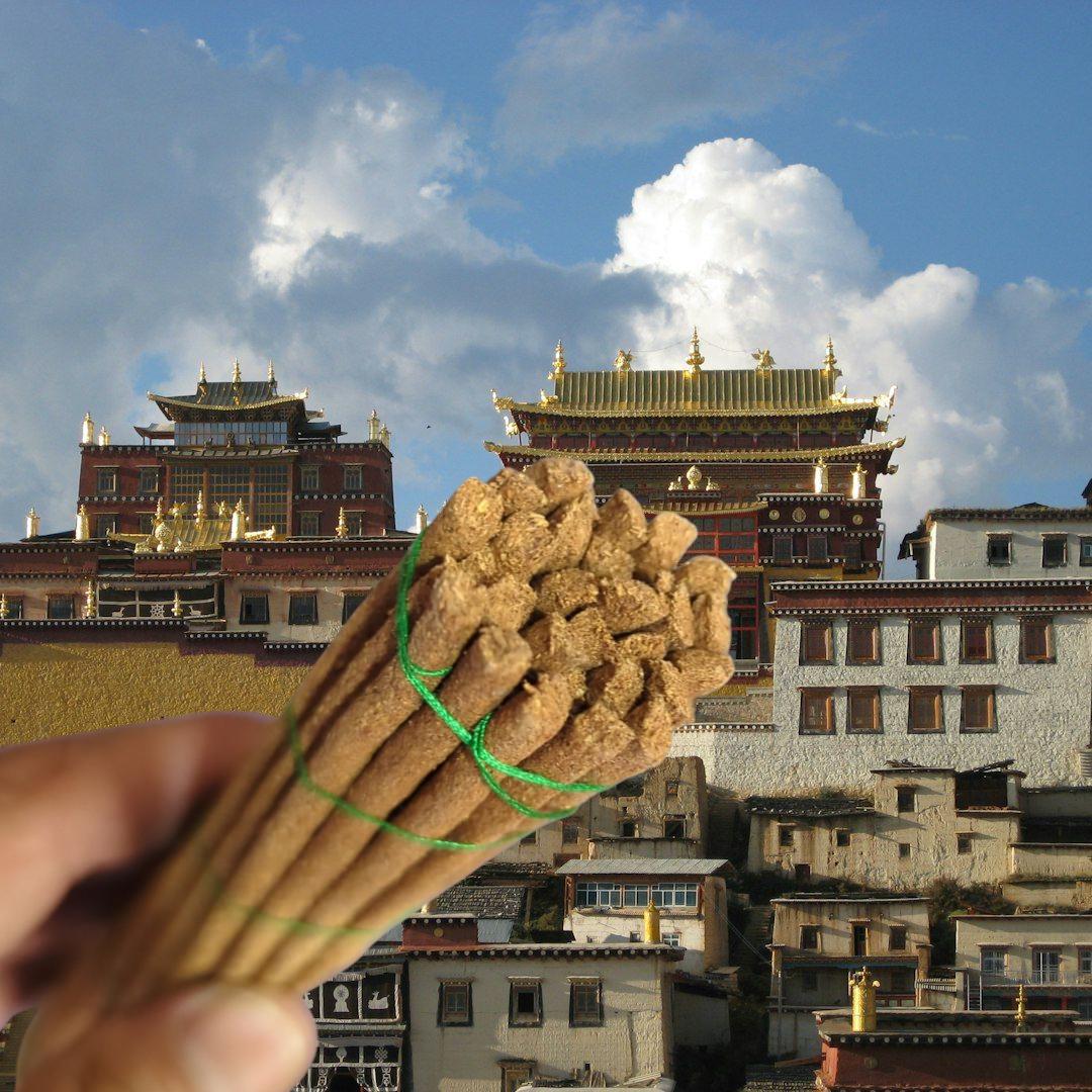 Tibetan Karma Happiness Incense: Natural Herbal Healing, 30 Sticks