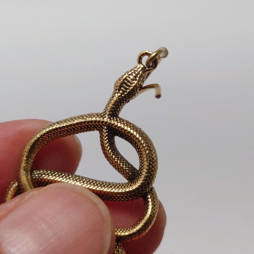 Bohemian Brass Snake Earrings: Southwest-Inspired Statement Jewelry