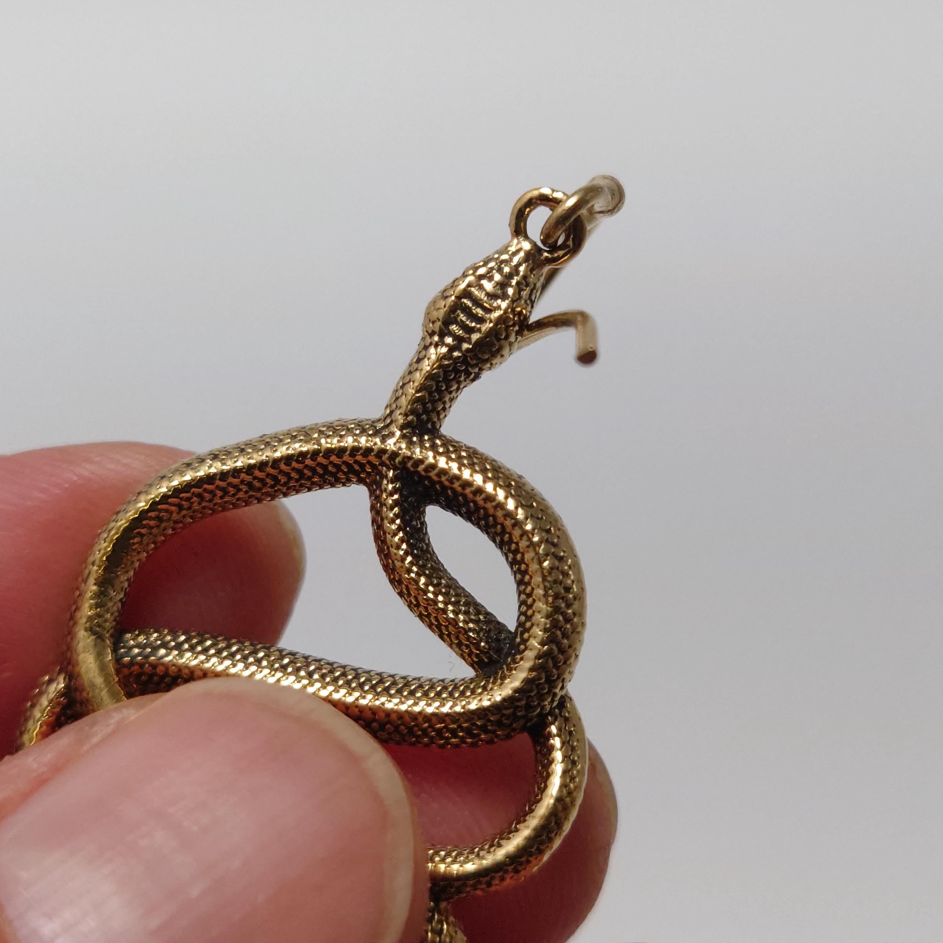 Bohemian Brass Snake Earrings: Southwest-Inspired Statement Jewelry