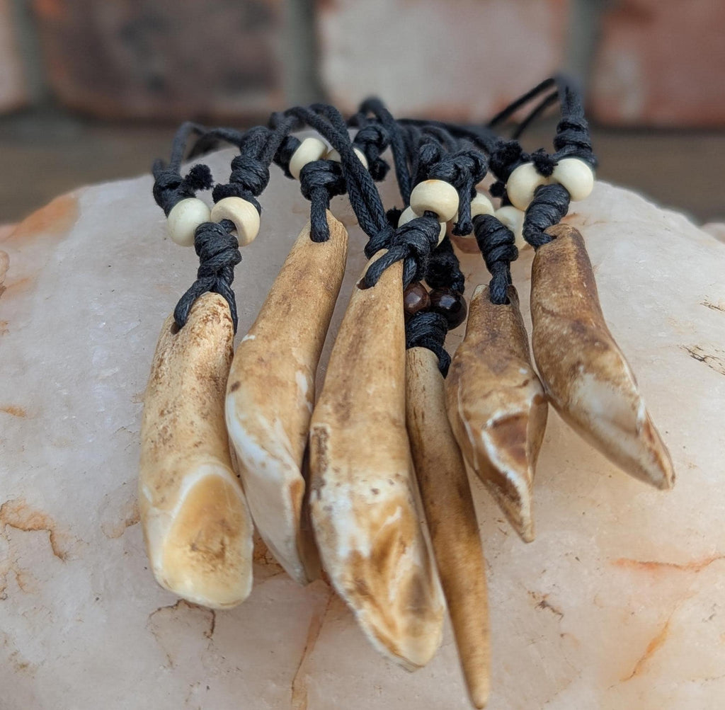 Vintage wolf teeth Amulet pendants (p6-046)