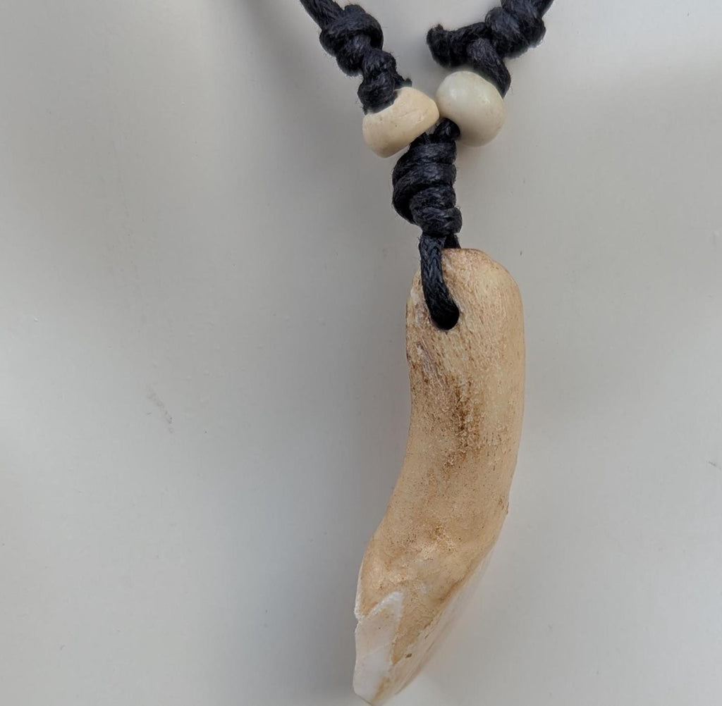Vintage wolf teeth Amulet pendants (p6-046)