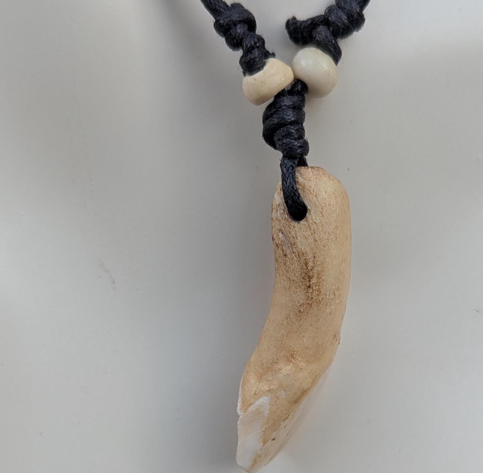 Vintage wolf teeth Amulet pendants (p6-046)