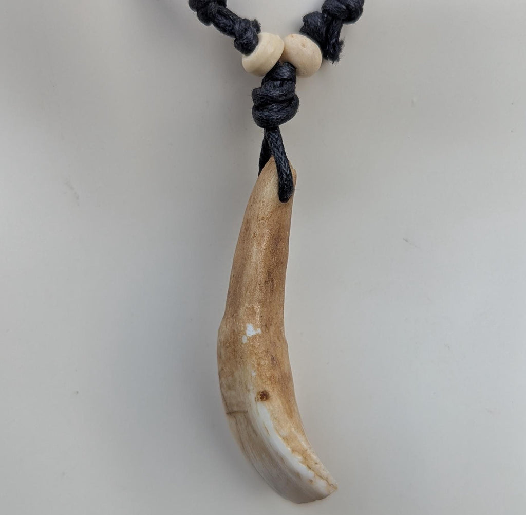 Vintage wolf teeth Amulet pendants (p6-046)