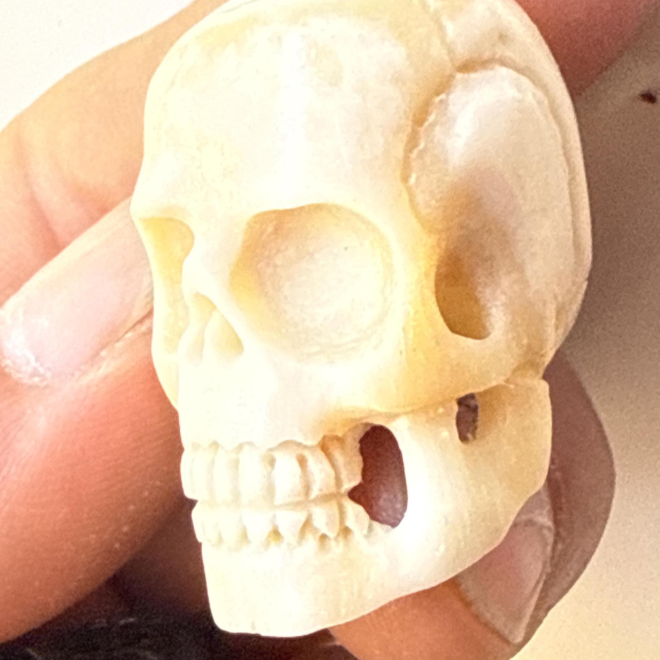 Hand-carved skull beads made from fine yak bones, a rare vintage item from Tibet